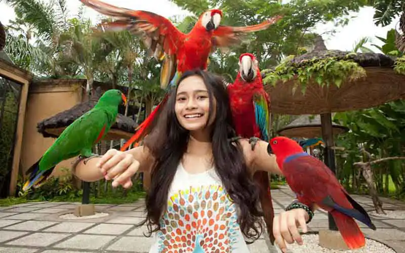 bird park